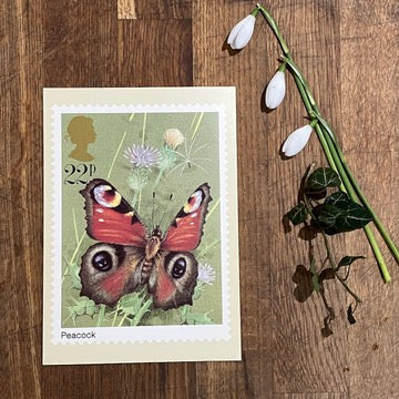 Vintage postcard with first day issue stamps | Peacock butterfly | Butterflies by Gordon Beningfield | 22p stamp 1981