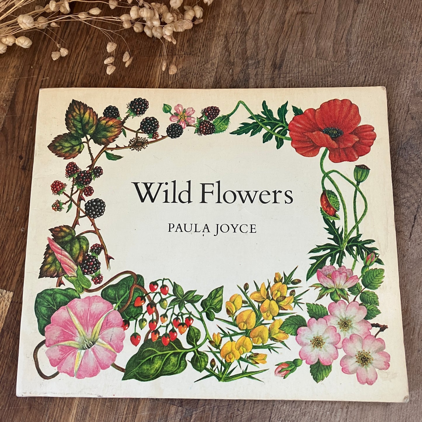 Wild Flowers by Paula Joyce ~ vintage botanical illustrations