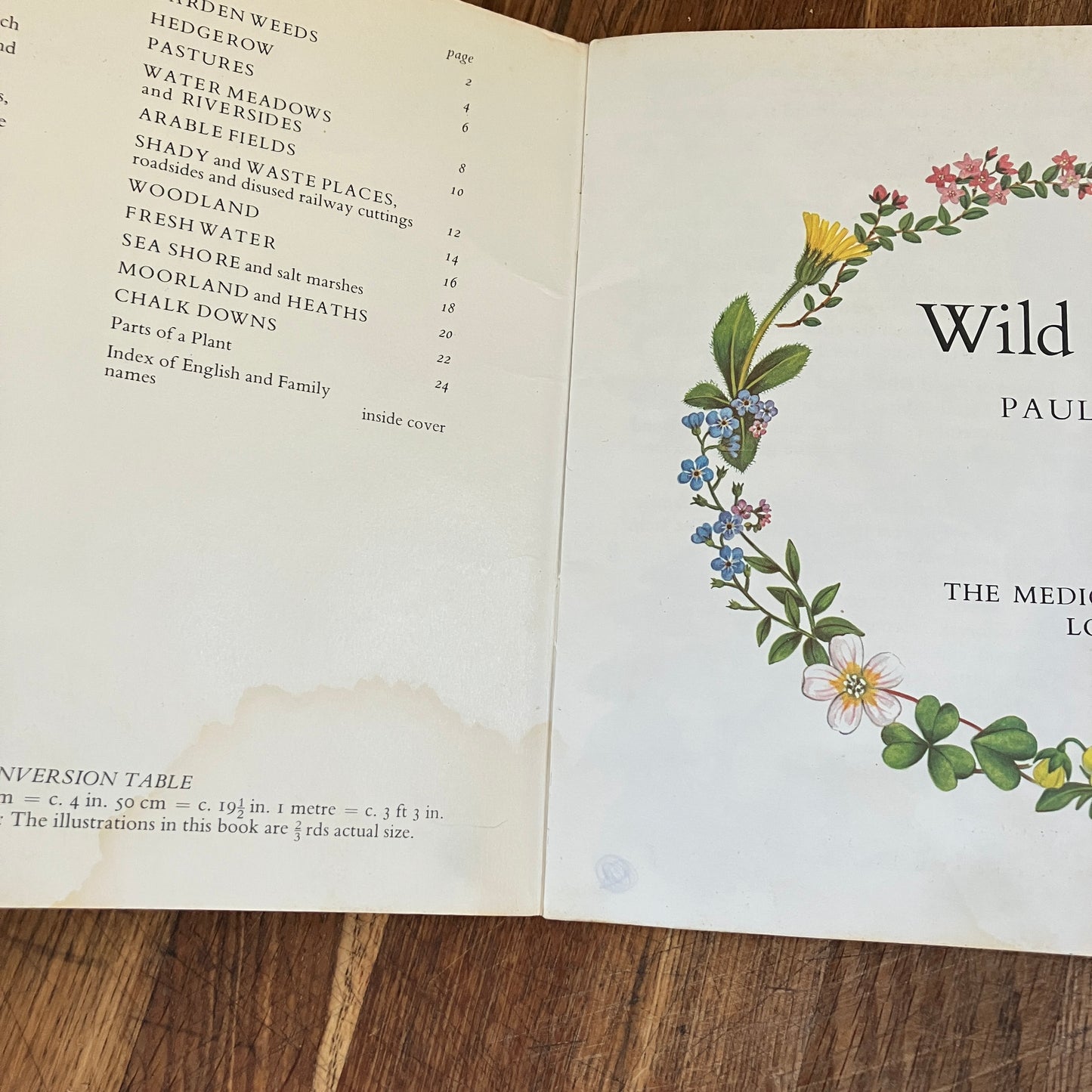 Wild Flowers by Paula Joyce ~ vintage botanical illustrations