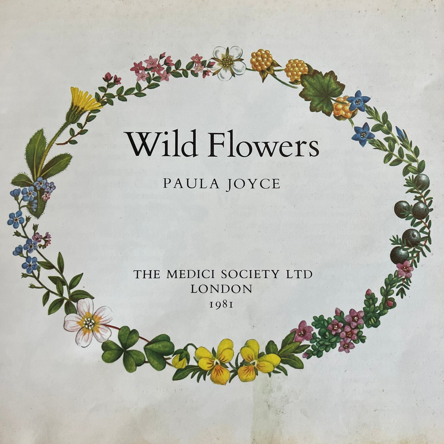 Wild Flowers by Paula Joyce ~ vintage botanical illustrations